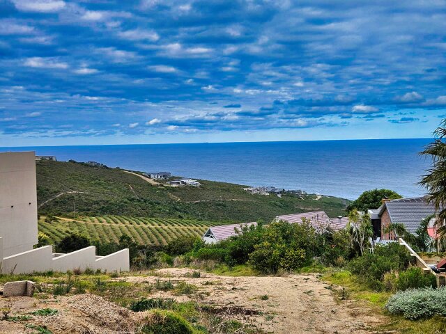  3  Dolfyn, Herold's Bay, Herold's Bay 